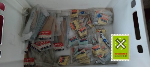 IMG_20230831_200353